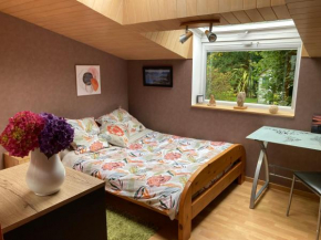 Chambre au calme à Arradon